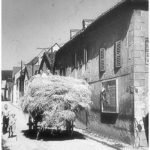 Bild Erntewagen im Einsatz 40er Jahre