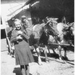 Bild Landwirtschaftliches Fuhrwerk um 1942